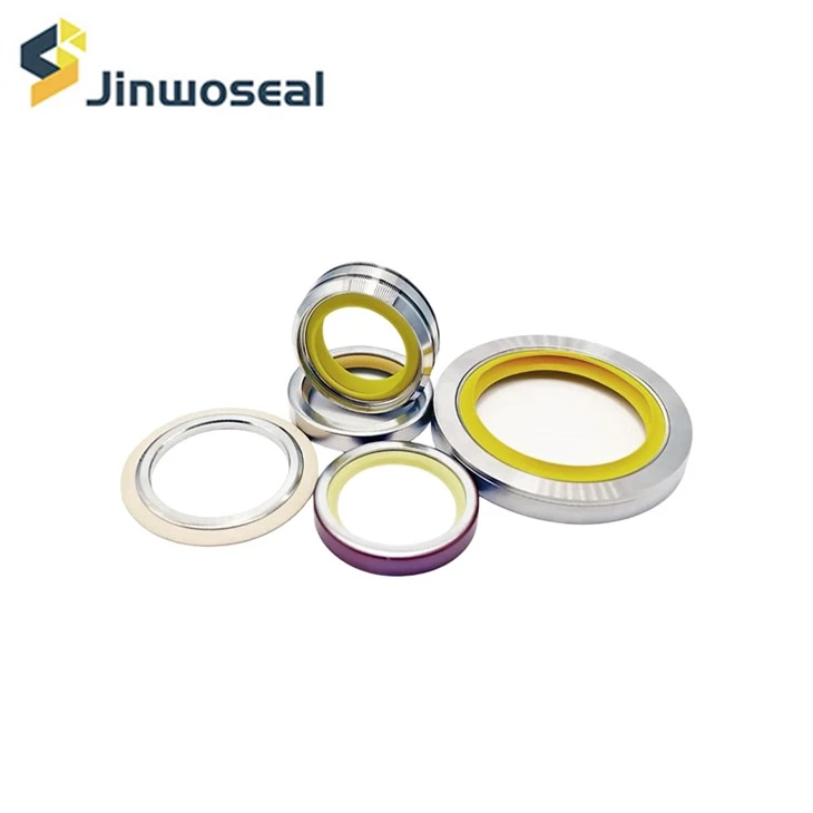 PTFE-Öldichtungs-Rotationswellendichtung mit Edelstahlgehäuse